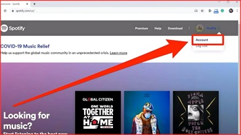Alexa from spotify 2