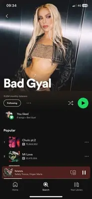Spotify artist profile screen