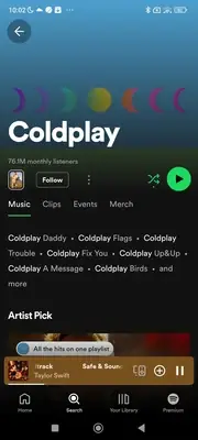 Spotify artist screen