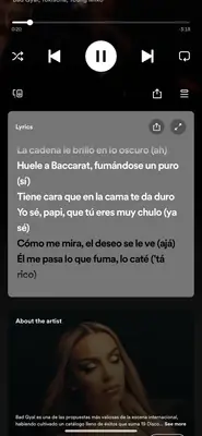 Spotify lyrics screen