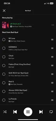 Spotify play queue screen